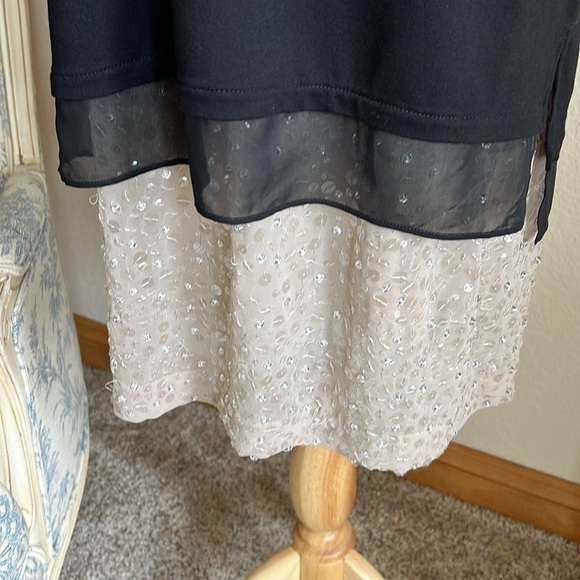 Ann Taylor Silk Beaded Skirt Size S Pockets Side Zip Stretch Waist - Picture 4 of 10